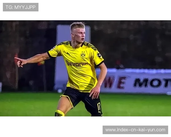 哈兰德射门转化率统计结果出炉 禁区触球到进球效率惊人